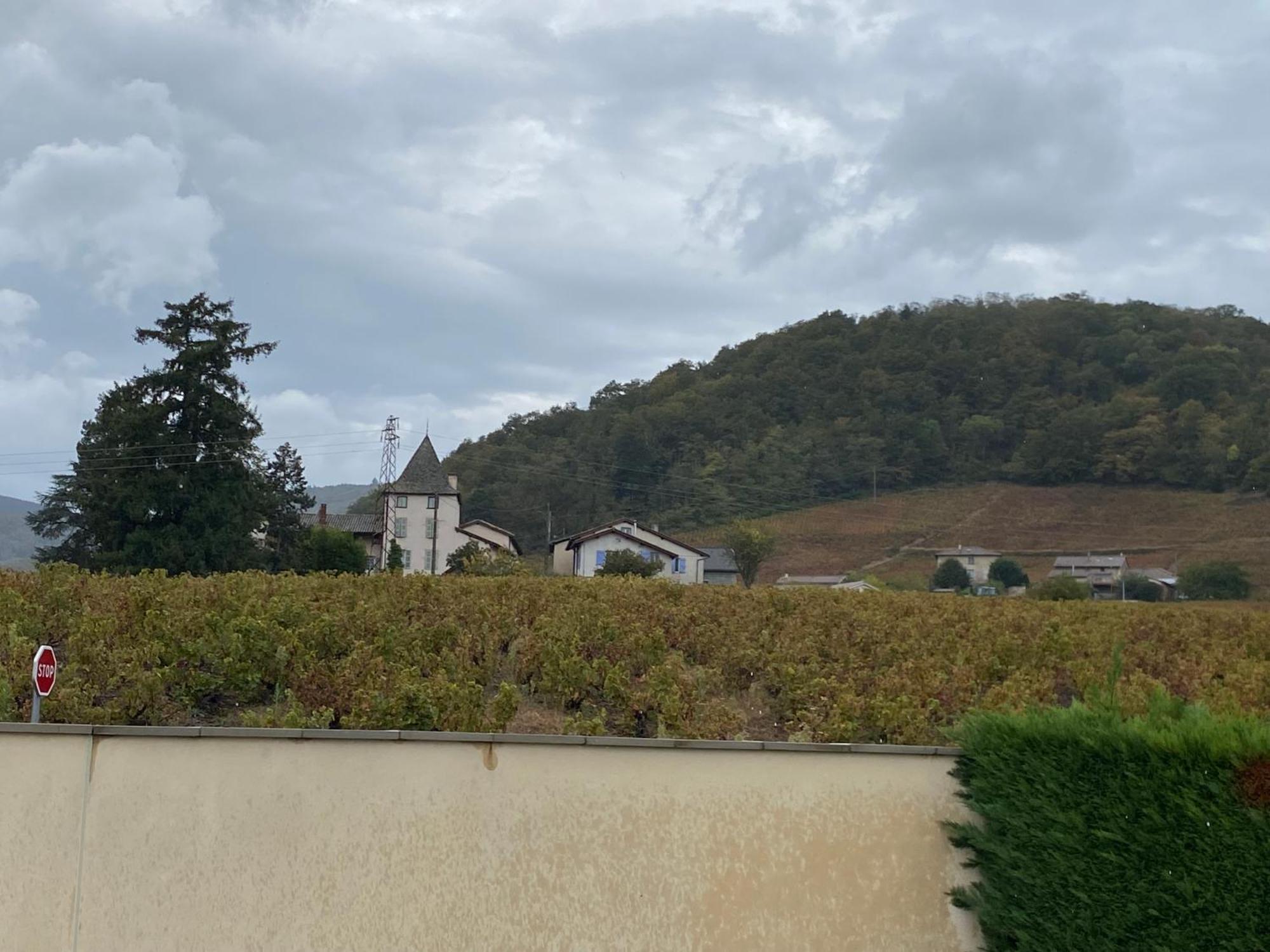 Beaujeu  Le Bouchon De Liege 빌라 외부 사진